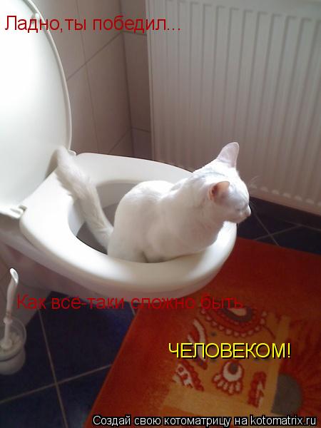 Котоматрица: Ладно,ты победил... Как всё-таки сложно быть... ЧЕЛОВЕКОМ!
