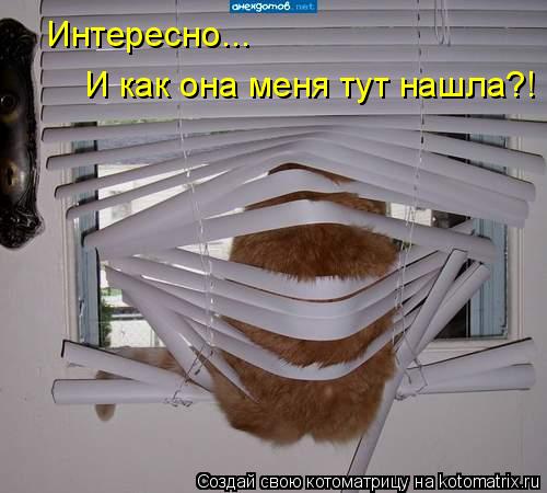 Котоматрица: Интересно...  И как она меня тут нашла?!