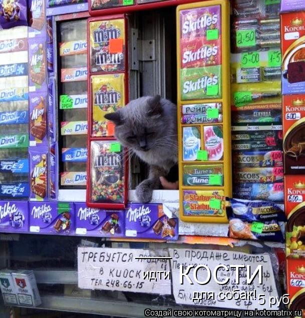 Котоматрица: _____ идти КОСТИ для собак! 5 руб.