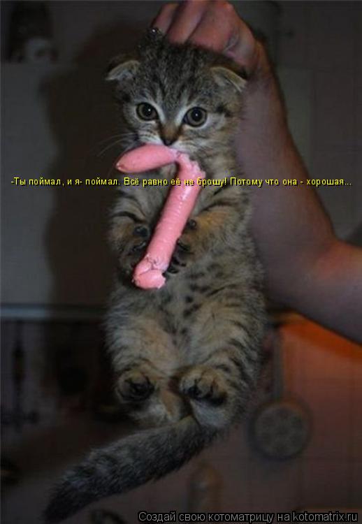 Котоматрица: -Ты поймал, и я- поймал. Всё равно её не брошу! Потому что она - хорошая...