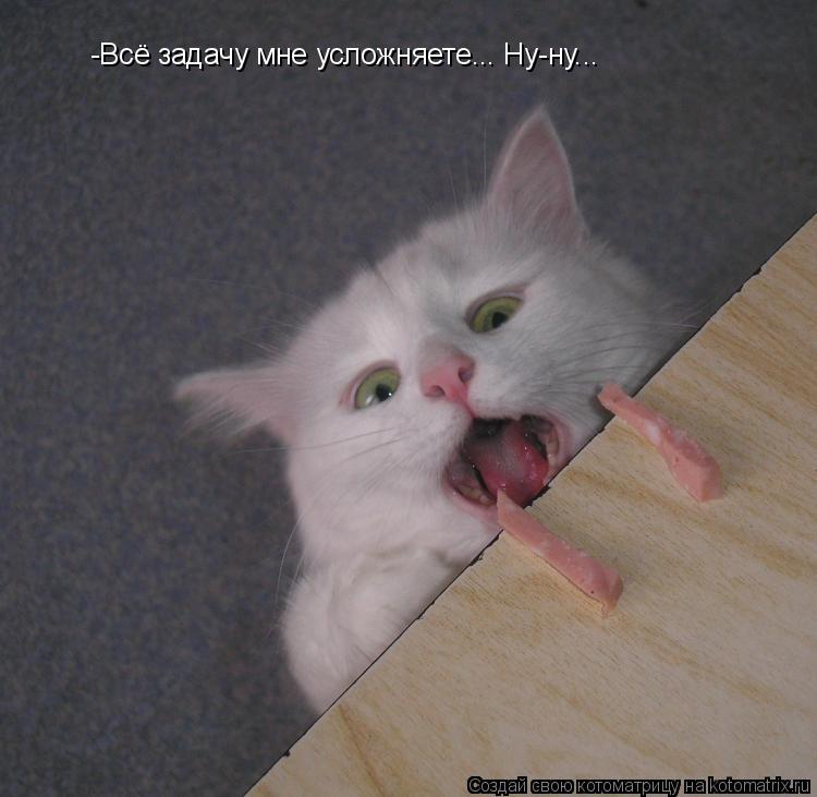 Котоматрица: -Всё задачу мне усложняете... Ну-ну...