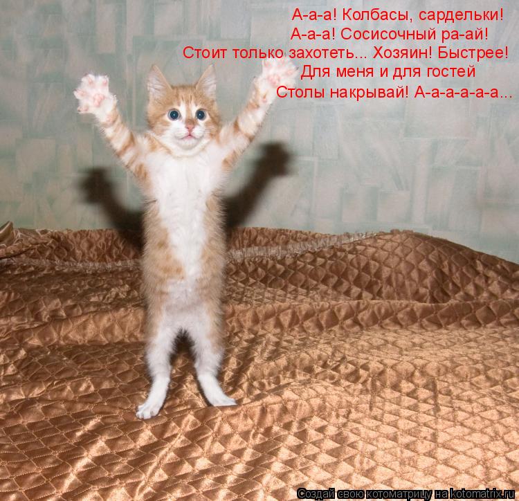 Котоматрица: А-а-а! Колбасы, сардельки! А-а-а! Сосисочный ра-ай! Стоит только захотеть... Хозяин! Быстрее! Для меня и для гостей Столы накрывай! А-а-а-а-а-а...