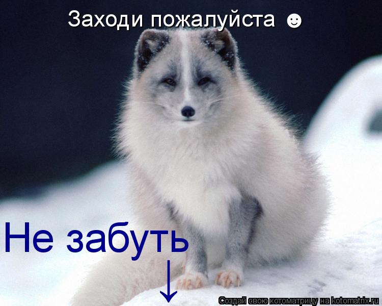 Котоматрица: Заходи пожалуйста ☻ Не забуть ↓