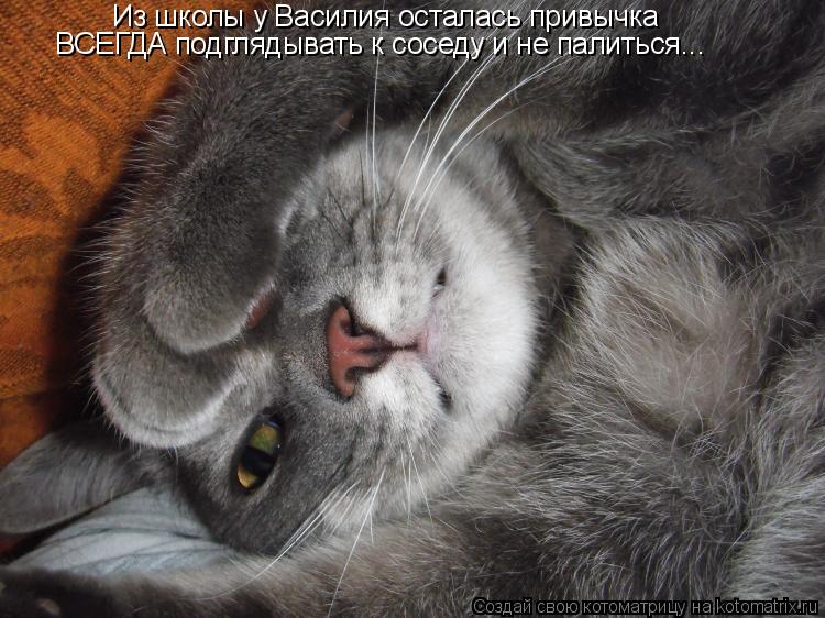 Котоматрица: Из школы у Василия осталась привычка  ВСЕГДА подглядывать к соседу и не палиться...
