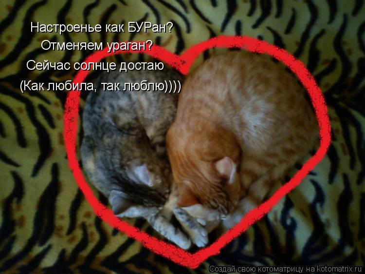 Котоматрица: Настроенье как БУРан? Отменяем ураган? Сейчас солнце достаю (Как любила, так люблю))))