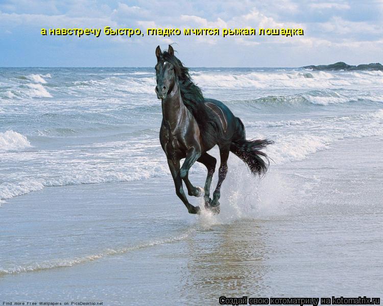 Котоматрица: а навстречу быстро, гладко мчится рыжая лошадка