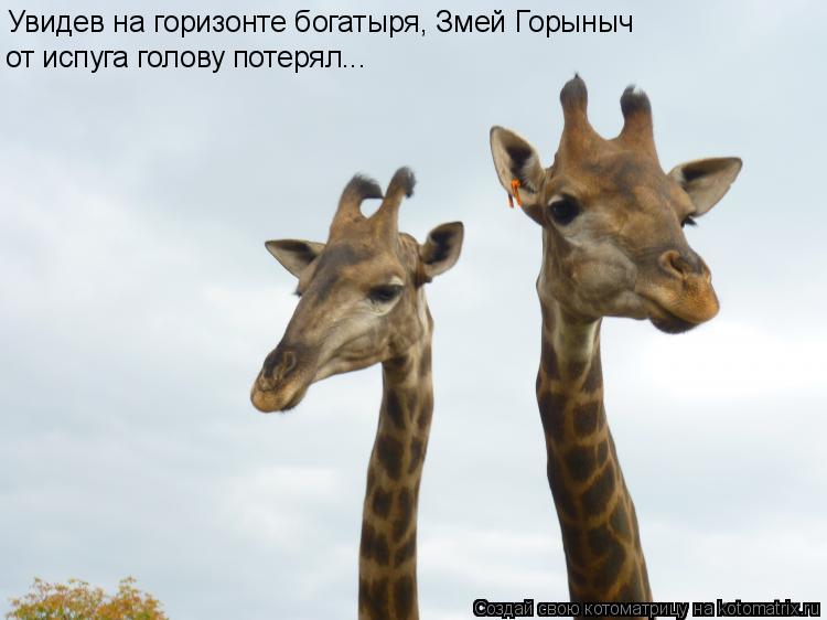 Котоматрица: Увидев на горизонте богатыря, Змей Горыныч  от испуга голову потерял...