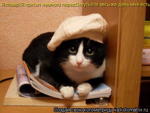 Котоматрица: Я повар!Я присел немного передОхнуть!Не весь же день мне есть)