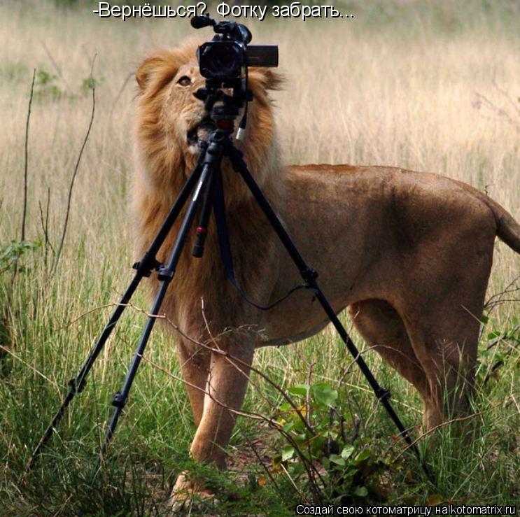 Котоматрица: -Вернёшься?  Фотку забрать...