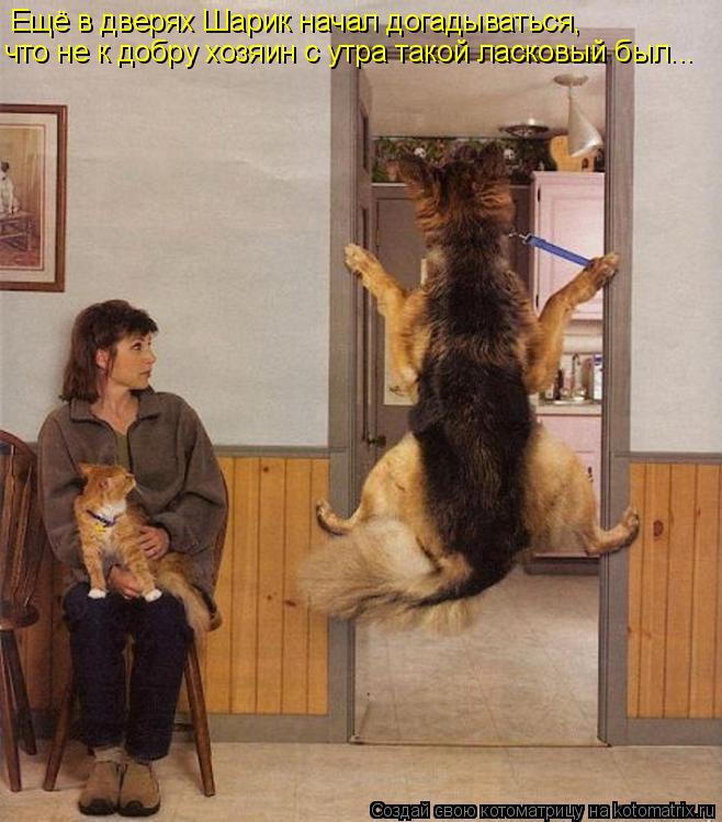 Котоматрица: Ещё в дверях Шарик начал догадываться, что не к добру хозяин с утра такой ласковый был...