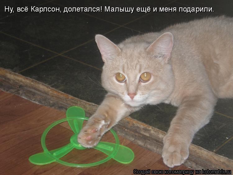 Котоматрица: Ну, всё Карлсон, долетался! Малышу ещё и меня подарили.