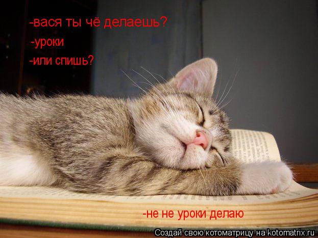 Котоматрица: -вася ты чё делаешь? -уроки -или спишь? -не не уроки делаю