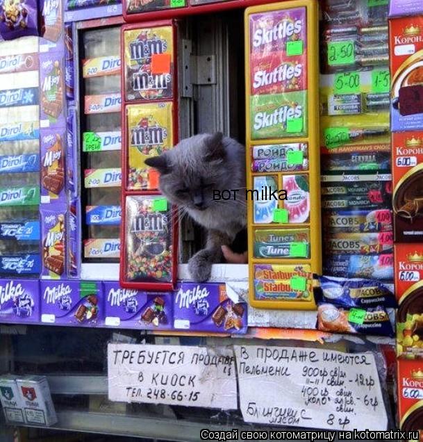 Котоматрица: вот milka