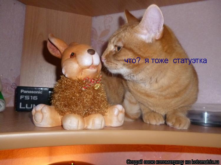 Котоматрица: что?  я тоже  статуэтка