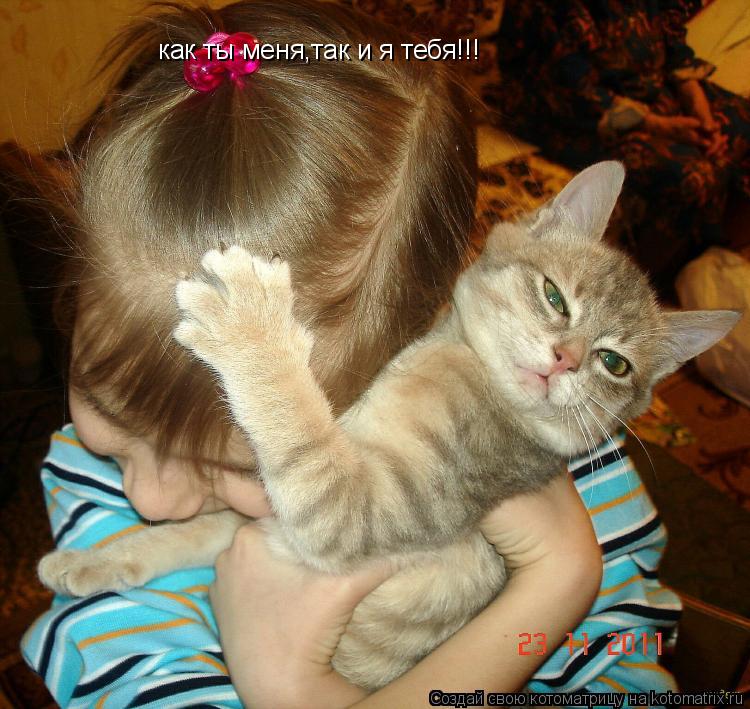 Котоматрица: как ты меня,так и я тебя!!!