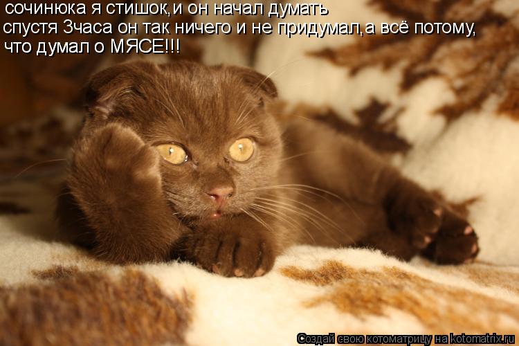 Котоматрица: сочинюка я стишок,и он начал думать спустя 3часа он так ничего и не придумал,а всё потому, что думал о МЯСЕ!!! что думал о МЯСЕ!!!