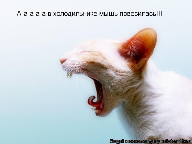 Котоматрица: -А-а-а-а-а в холодильнике мышь повесилась!!!