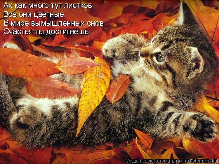 Котоматрица: Ах как много тут листков Все они цветные В мире вымышленных снов Счастья ты достигнешь