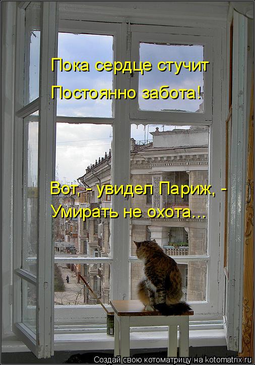 Пока сердце стучит Постоянно забота! Вот, - увидел Париж, - Умирать не охота...... Котоматрица: Пока сердце стучит Постоянно забота! Вот, - увидел Париж, - Умирать не охота...