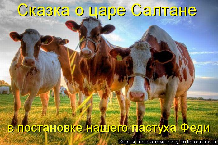 Котоматрица: Сказка о царе Салтане  в постановке нашего пастуха Феди