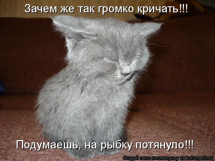 Котоматрица: Зачем же так громко кричать!!! Подумаешь, на рыбку потянуло!!!