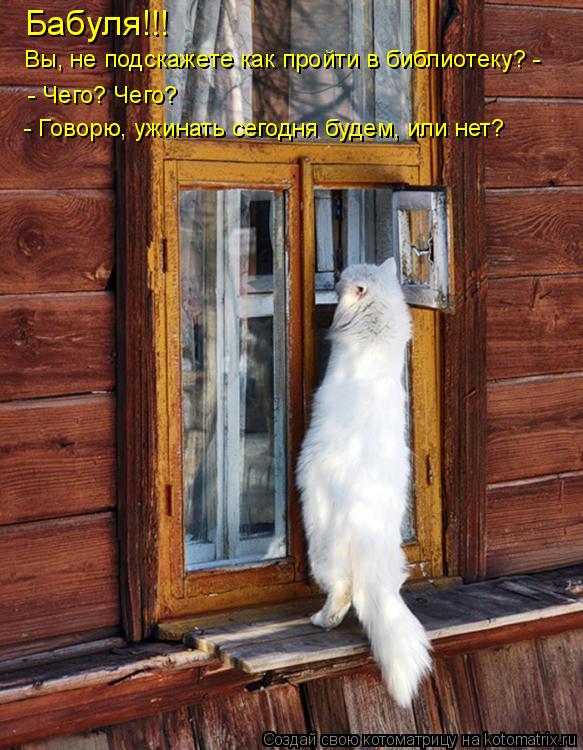 Котоматрица: Бабуля!!! Вы, не подскажете как пройти в библиотеку? - - Чего? Чего? - Говорю, ужинать сегодня будем, или нет?