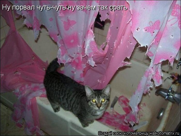 Котоматрица: Ну порвал чуть-чуть ну зачем так орать