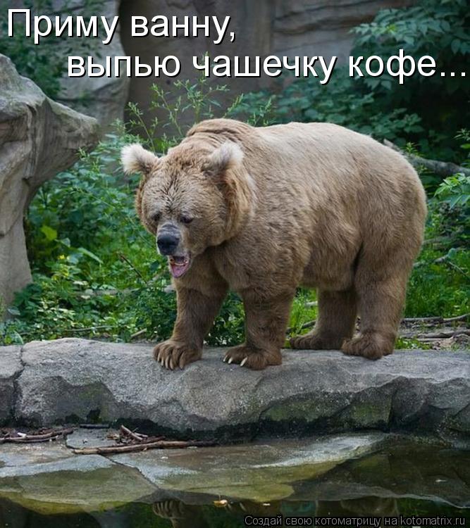 Котоматрица: Приму ванну,  выпью чашечку кофе...