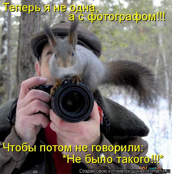 Котоматрица: Теперь я не одна,  а с фотографом!!! Чтобы потом не говорили: *Не было такого!!!*