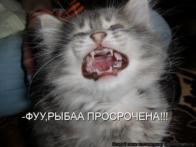 Котоматрица: -ФУУ,РЫБАА ПРОСРОЧЕНА!!!