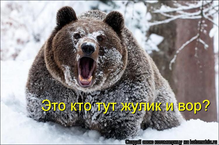 Котоматрица: Это кто тут жулик и вор?