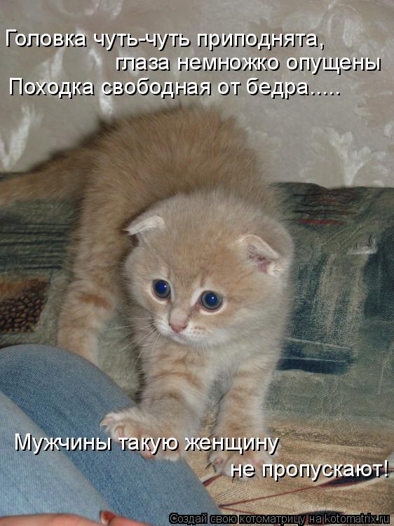 Котоматрица: Головка чуть-чуть приподнята,  глаза немножко опущены Походка свободная от бедра.....  Мужчины такую женщину   не пропускают!