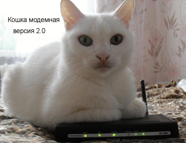 Котоматрица: Кошка модемная версия 2.0