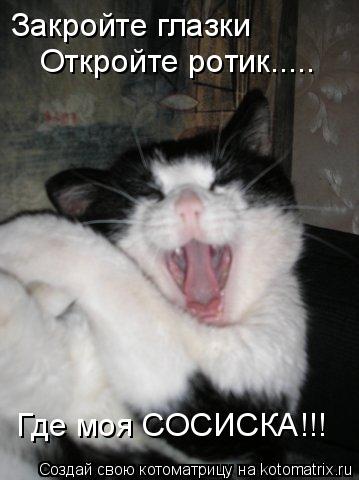 Котоматрица: Закройте глазки Откройте ротик..... Где моя СОСИСКА!!!