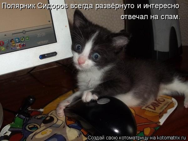 Котоматрица: Полярник Сидоров всегда развёрнуто и интересно отвечал на спам.