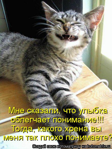 Котоматрица: меня так плохо понимаете? Тогда, какого хрена вы облегчает понимание!!! Мне сказали, что улыбка