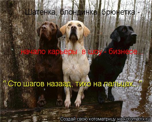 Котоматрица: Шатенка, блондинка, брюнетка -  начало карьеры  в шоу - бизнесе... " Сто шагов назаад, тихо на пальцах..."