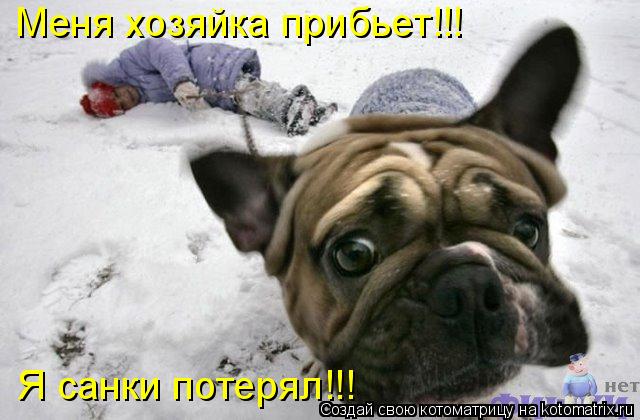 Котоматрица: Меня хозяйка прибьет!!! Я санки потерял!!!