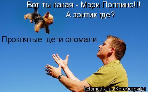 Котоматрица: Вот ты какая - Мэри Поппинс!!! А зонтик где? Проклятые  дети сломали...