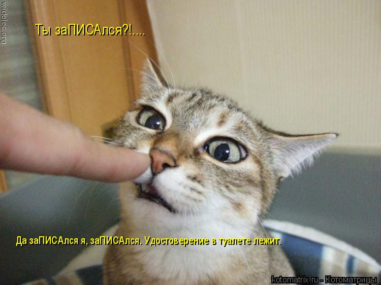 Котоматрица: Ты заПИСАлся?!.... Да заПИСАлся я, заПИСАлся. Удостоверение в туалете лежит.