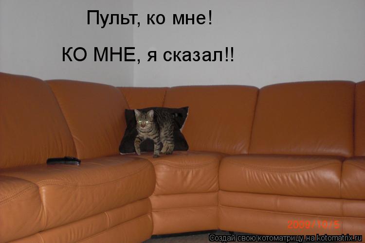 Котоматрица: Пульт, ко мне! КО МНЕ, я сказал!!