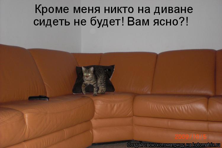 Котоматрица: Кроме меня никто на диване  сидеть не будет! Вам ясно?!