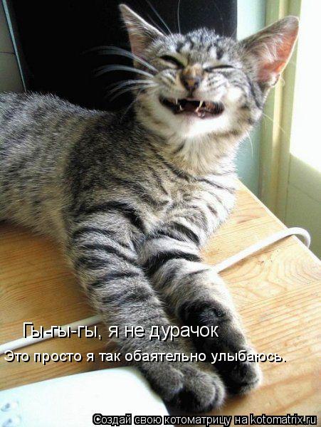 Котоматрица: Гы-гы-гы, я не дурачок Это просто я так обаятельно улыбаюсь.