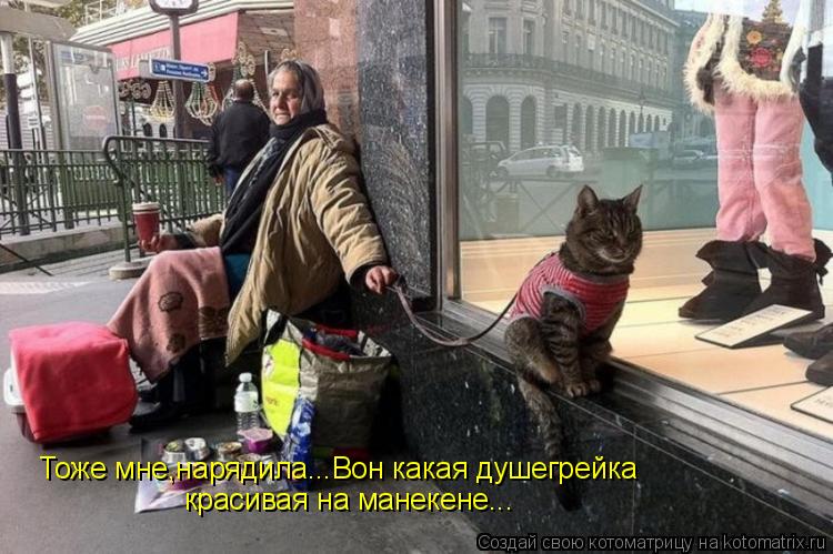 Котоматрица: Тоже мне,нарядила...Вон какая душегрейка  красивая на манекене...