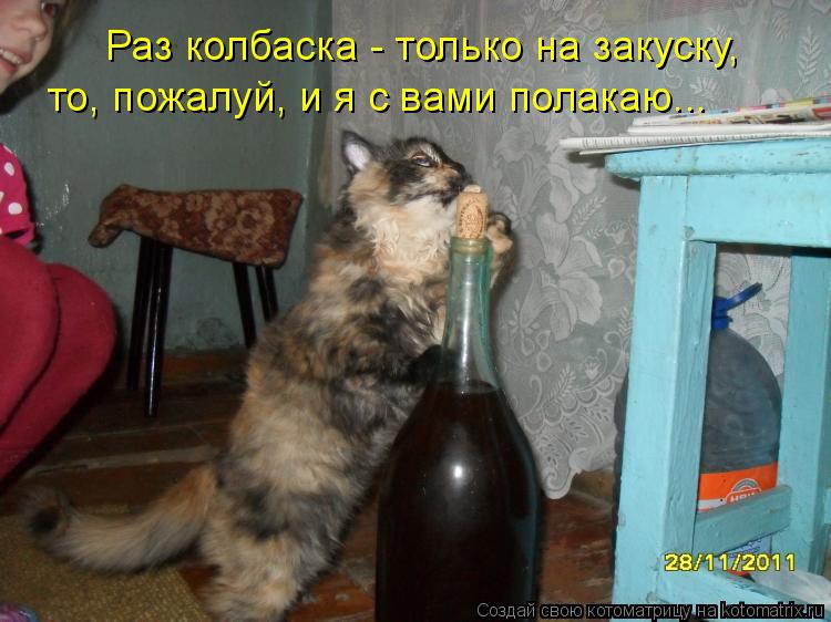 Котоматрица: Раз колбаска - только на закуску, то, пожалуй, и я с вами полакаю...