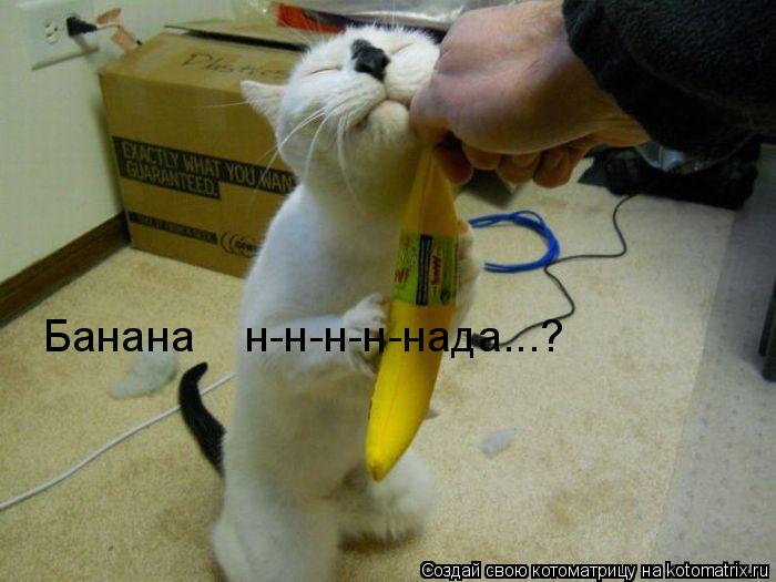 Котоматрица: Банана    н-н-н-н-нада...?