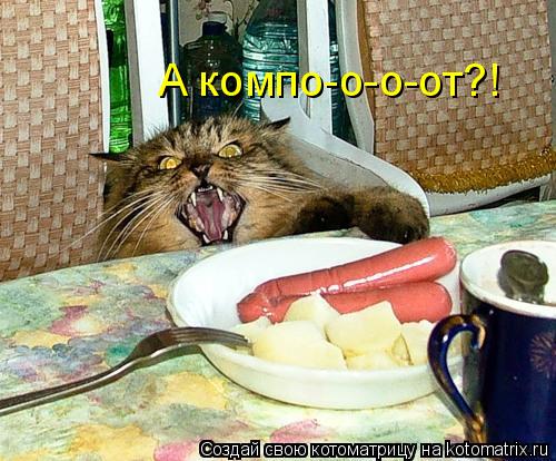 Котоматрица: А компо-о-о-от?!