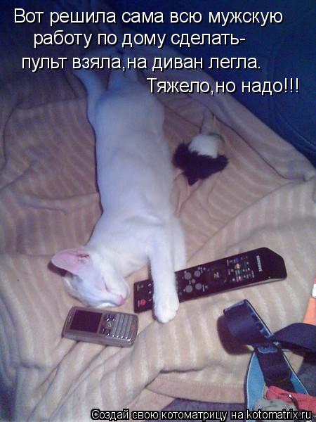 Котоматрица: Вот решила сама всю мужскую работу по дому сделать- пульт взяла,на диван легла. Тяжело,но надо!!!