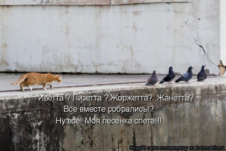 Иветта ? Лизетта ? Жоржетта? Жанетта? Все вместе собрались!? Ну все! Моя песенка спета!!!... Котоматрица: Иветта ? Лизетта ? Жоржетта? Жанетта? Все вместе собрались!? Ну все! Моя песенка спета!!!