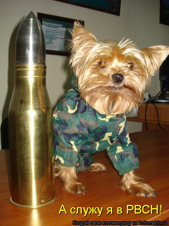 Котоматрица: А служу я в РВСН!